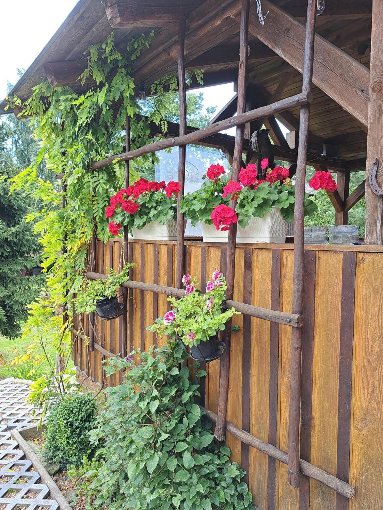 Penzion U Suchanku Mezimesti Esterno foto